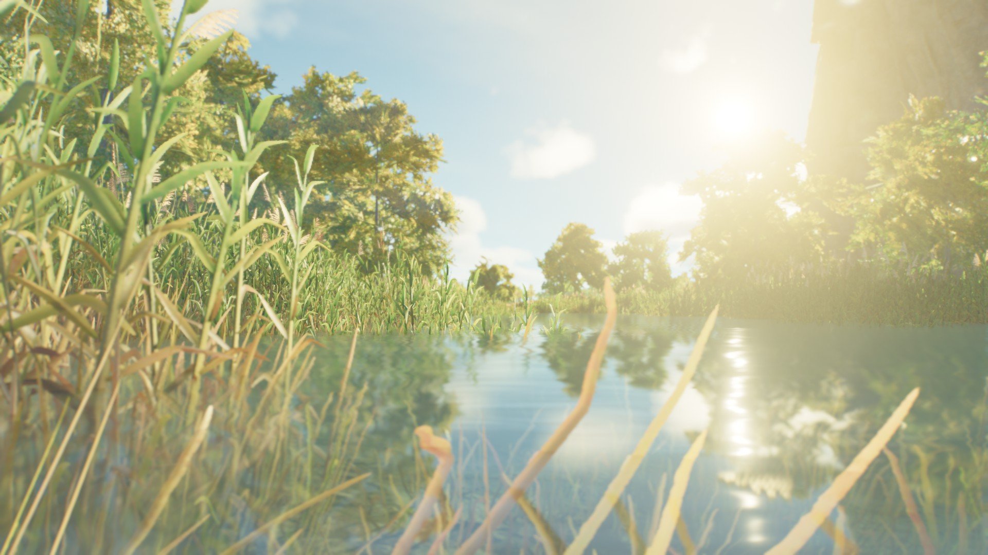 Isla nova the third island