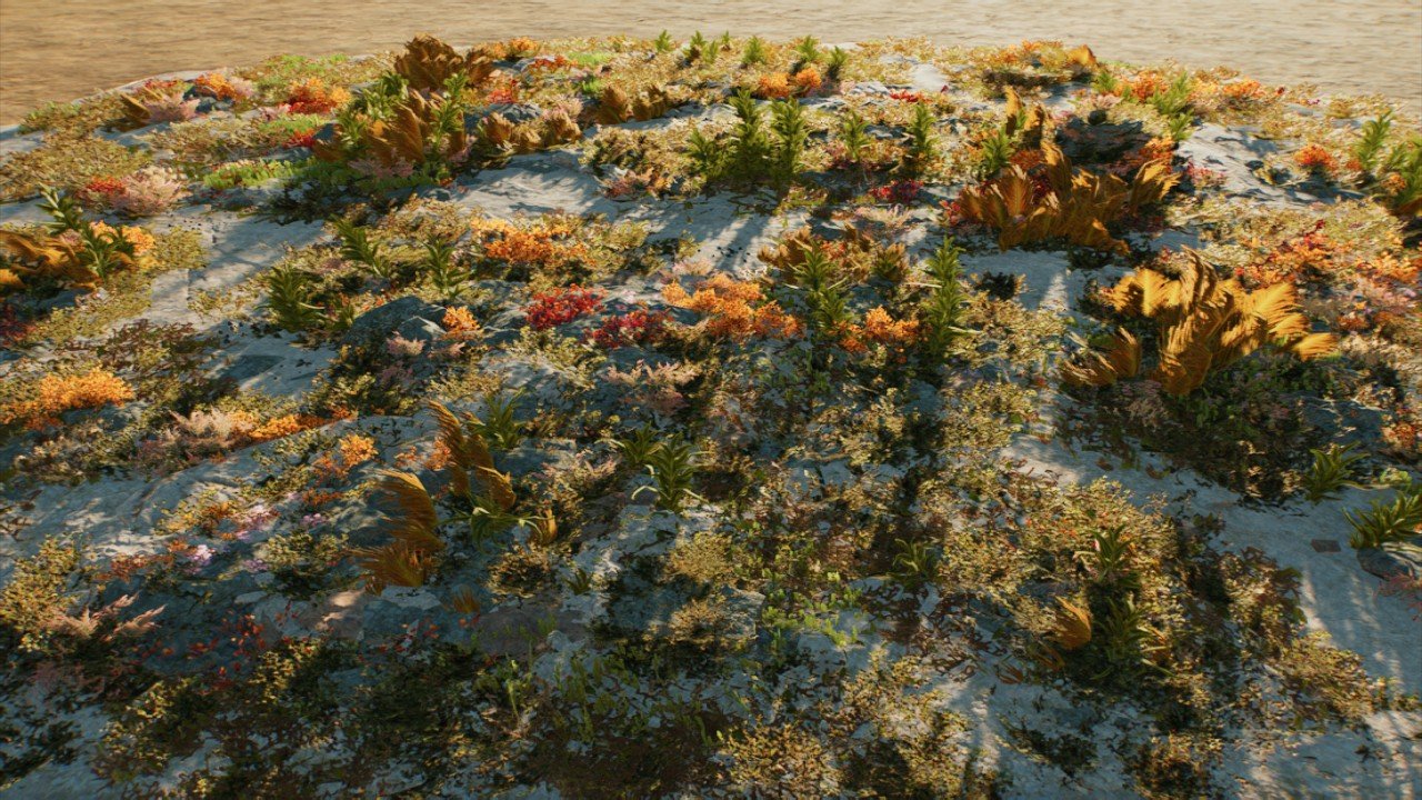 Lagoon Sea**** Seabed 1