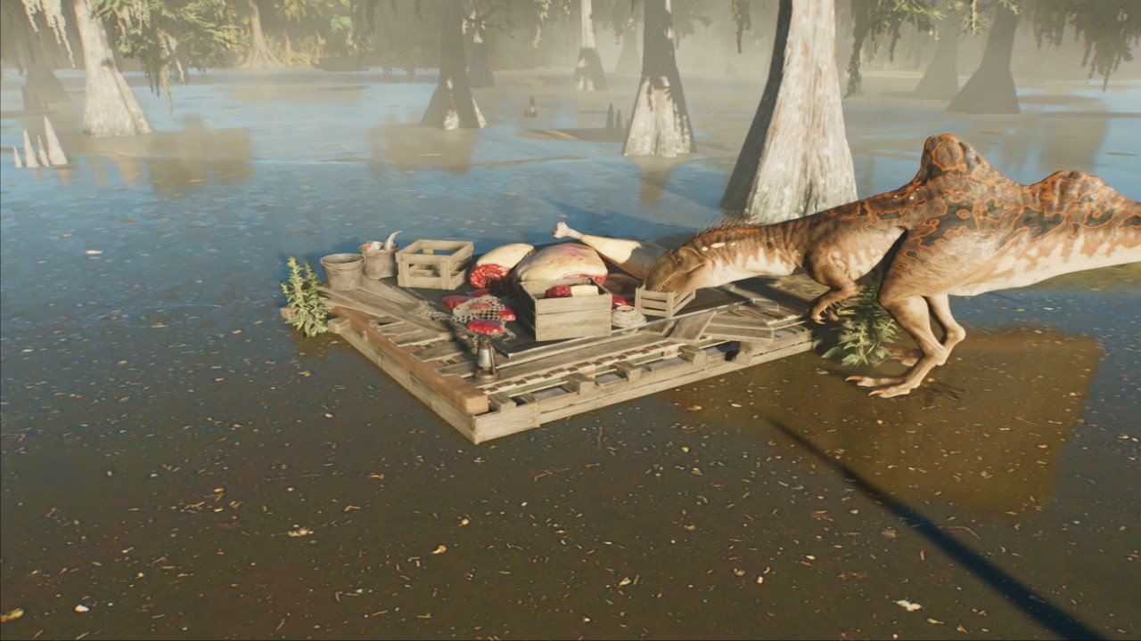 Wetland Carnivore Feeder