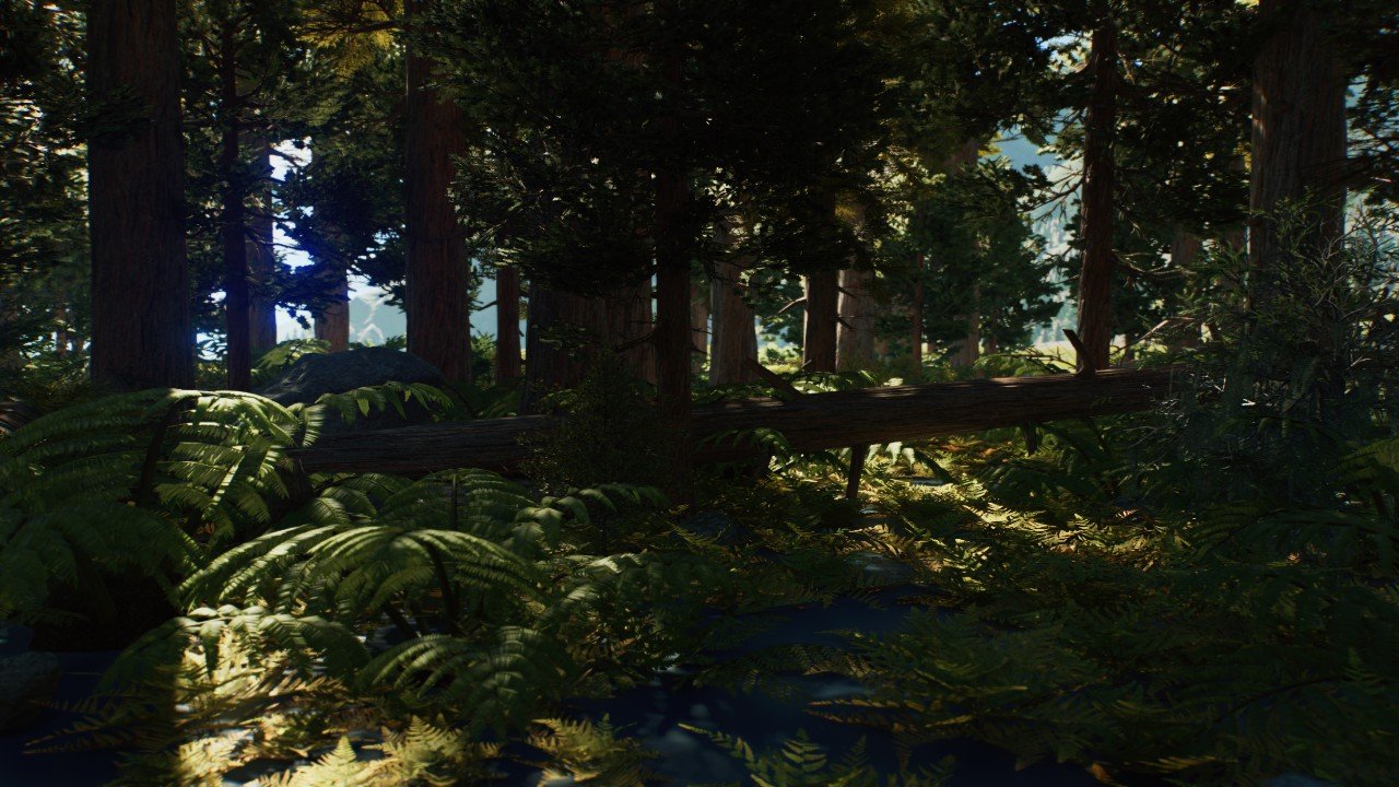 The Lost World Forest