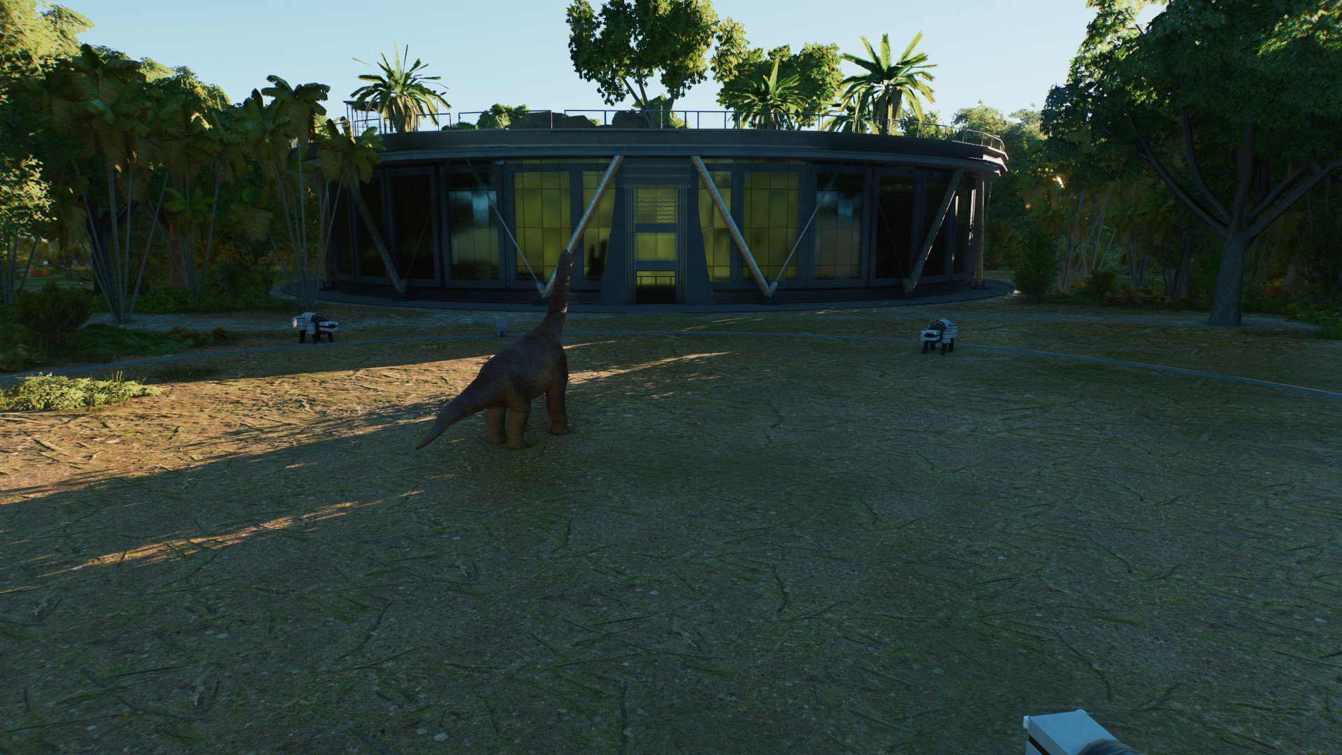 Qtz's mantah corp recreation