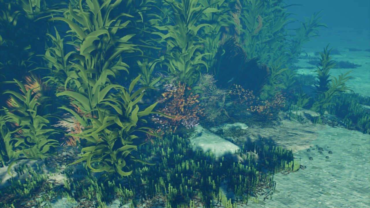 Kelp Forest Marine Nest
