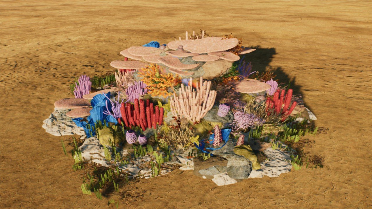 Lagoon Reef Rock 4