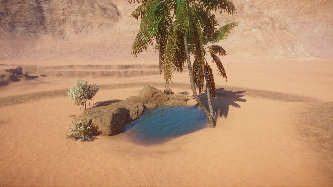 Desert oasis