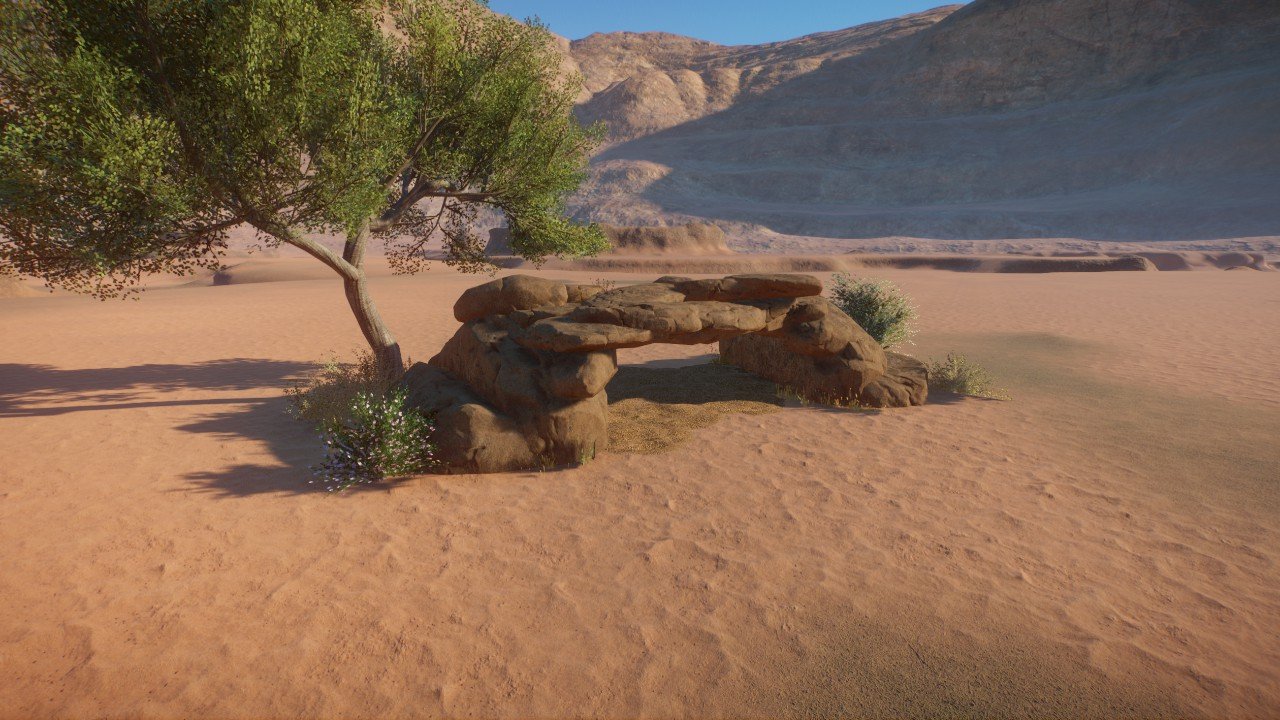 Desert tortoise cave