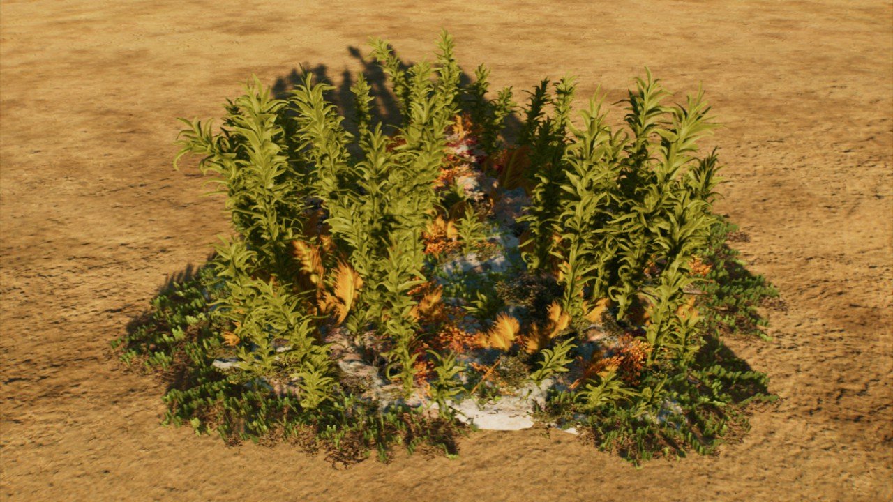 Lagoon Kelp Forest Clearing 1