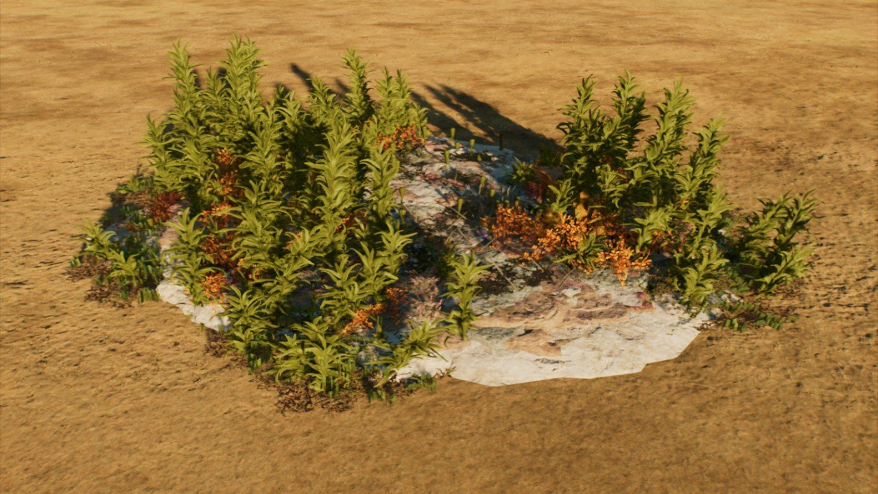 Lagoon Kelp Forest Clearing 2
