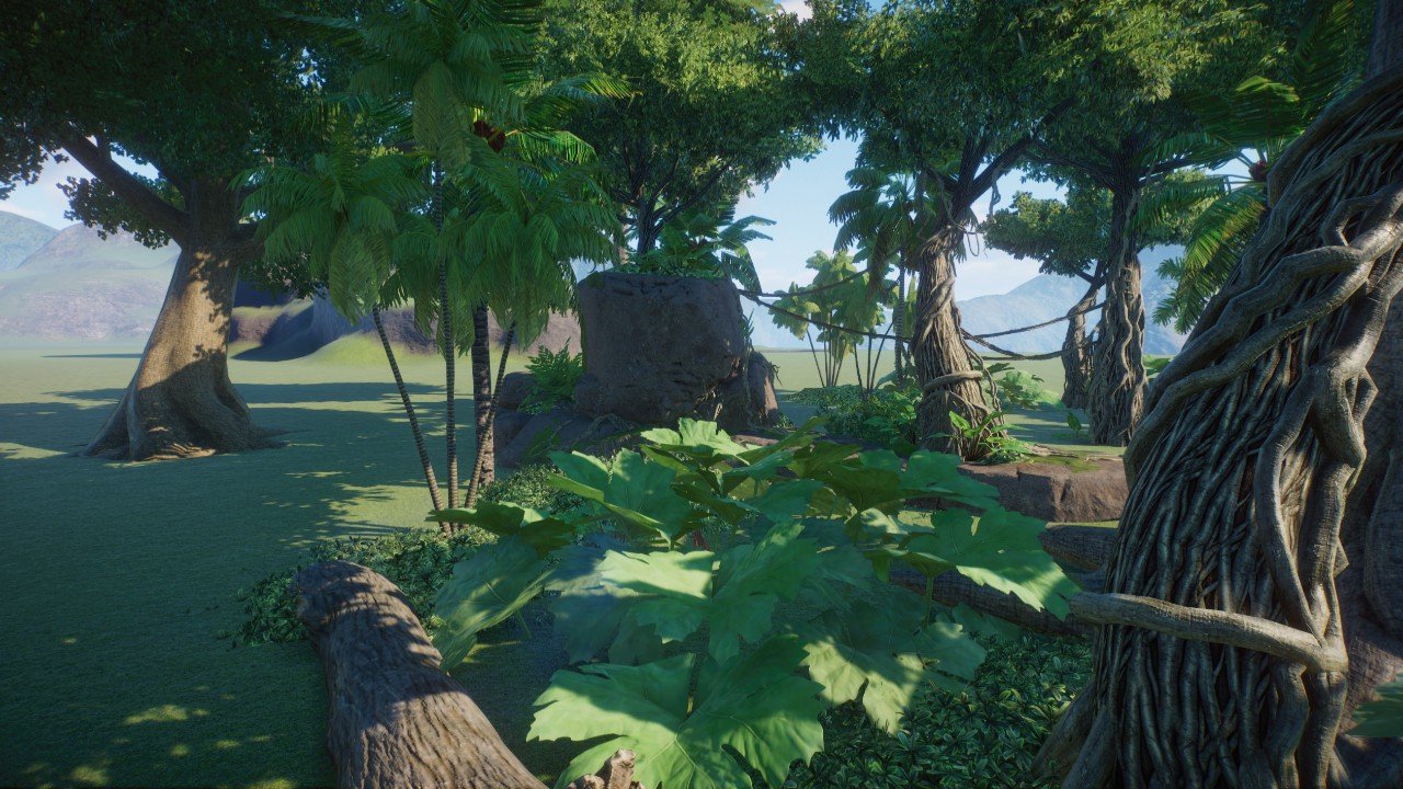 Tropical jungle scenery