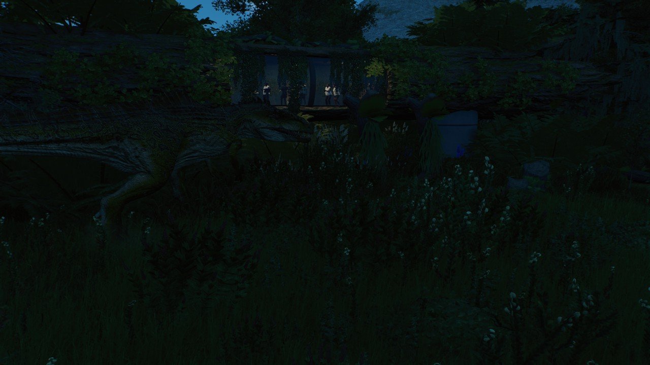the log view
