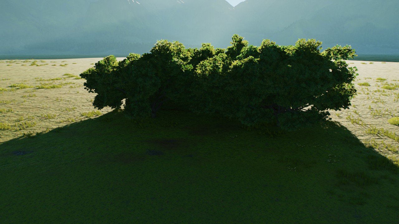 Natural Arrival Point