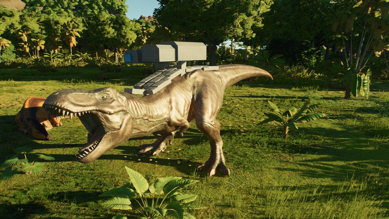 チランジア　REX Frontier Plants】2月8日販売予定のチランジアの価格と画像を紹介