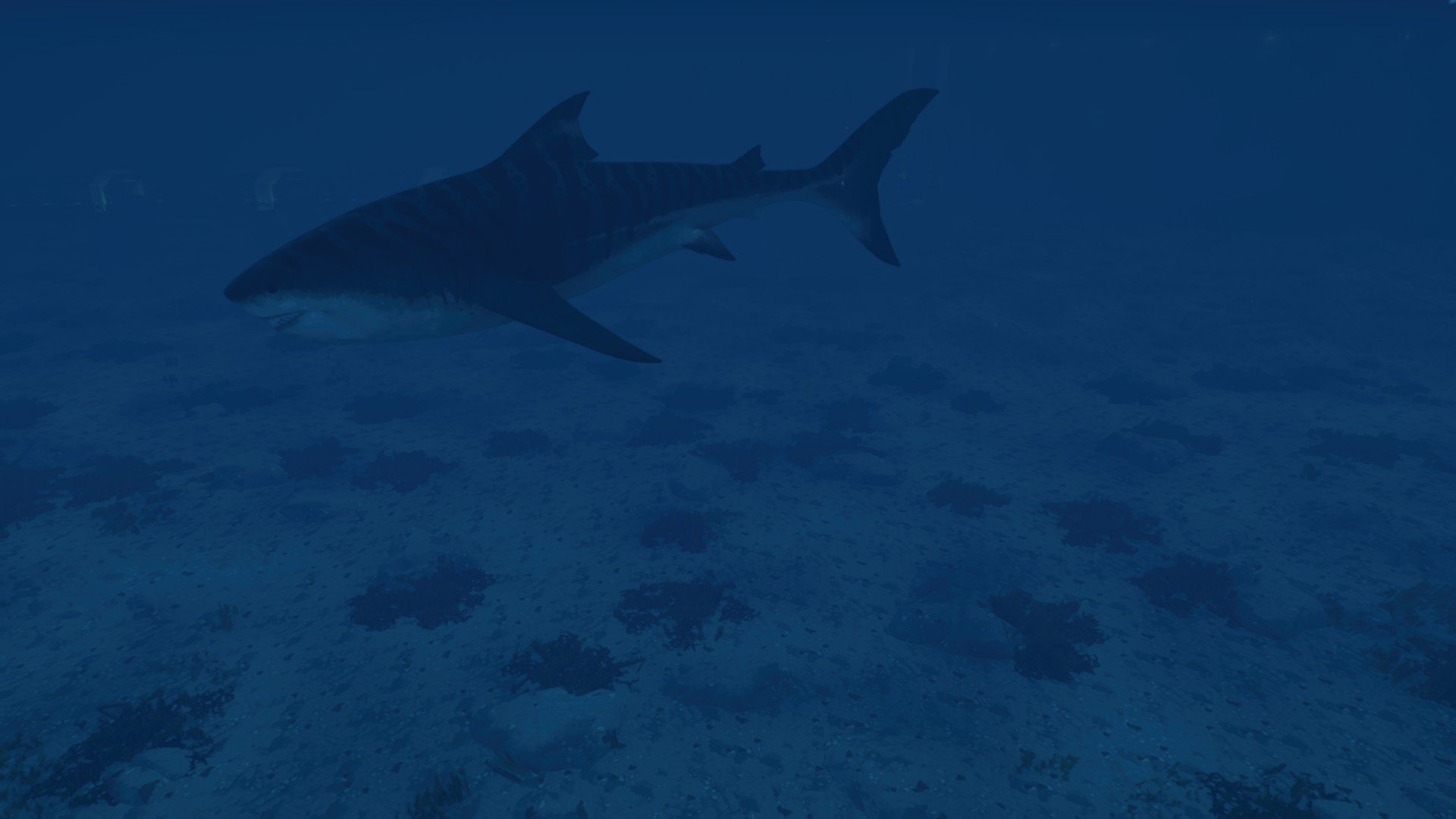megaladon research facility