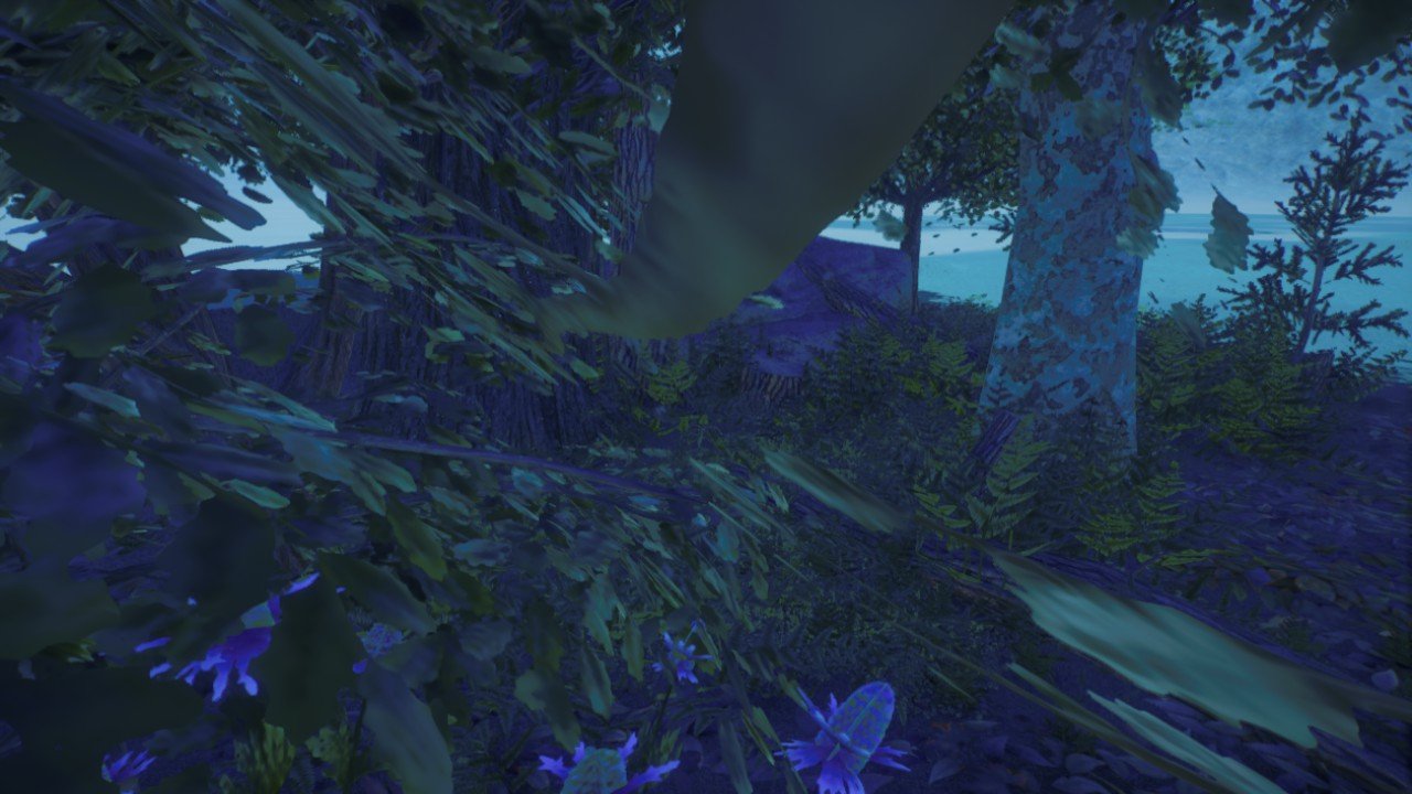 forest