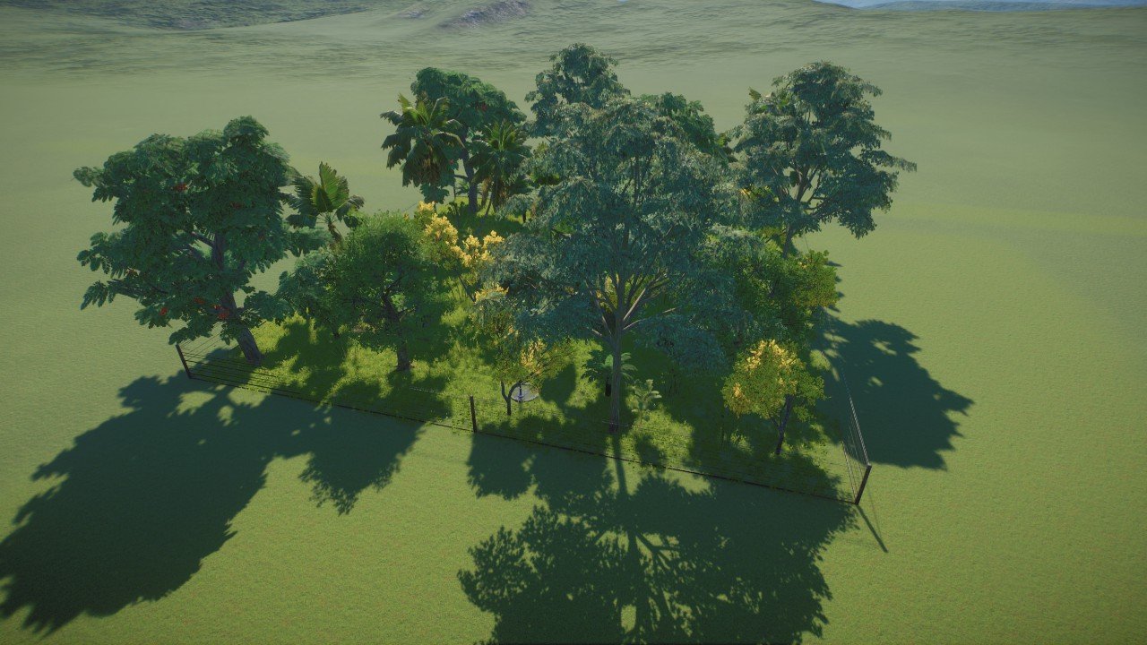 Indian Peafowl Habitat