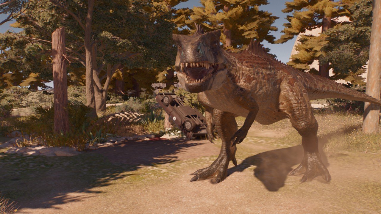Arid large carnivore nest