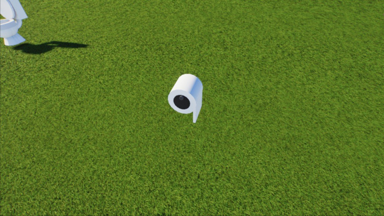 toilet roll