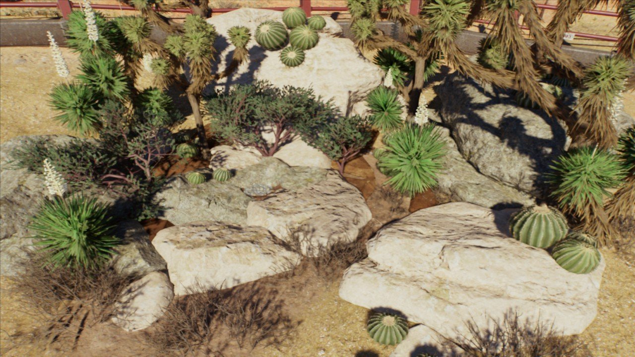 Muttaburrasaurus Desert Medium Nest