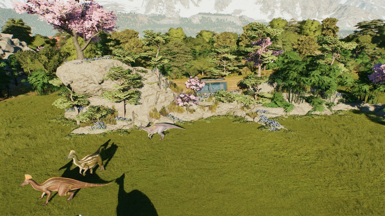 Log viewing gallery: Asia