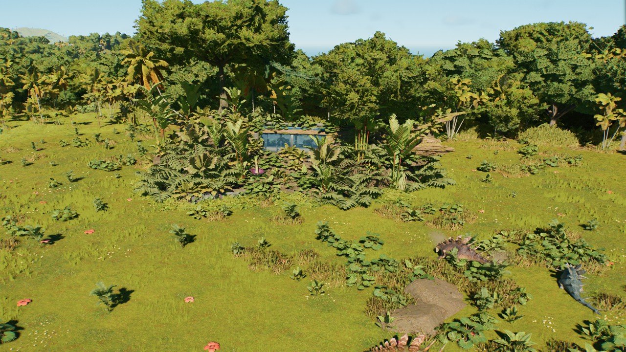 Log viewing gallery: Tropical