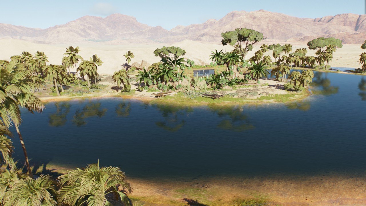 Log viewing gallery: Desert oasis