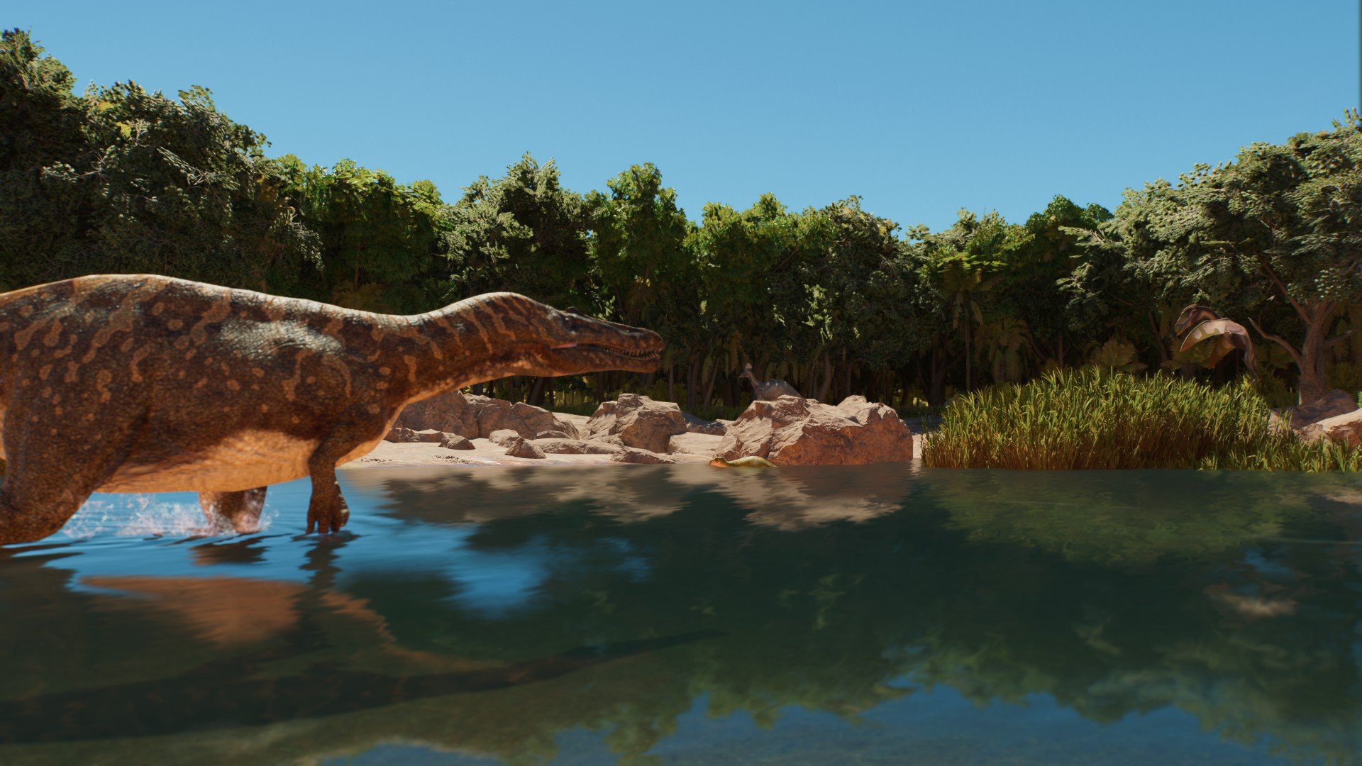 Cretaceous Maghrib