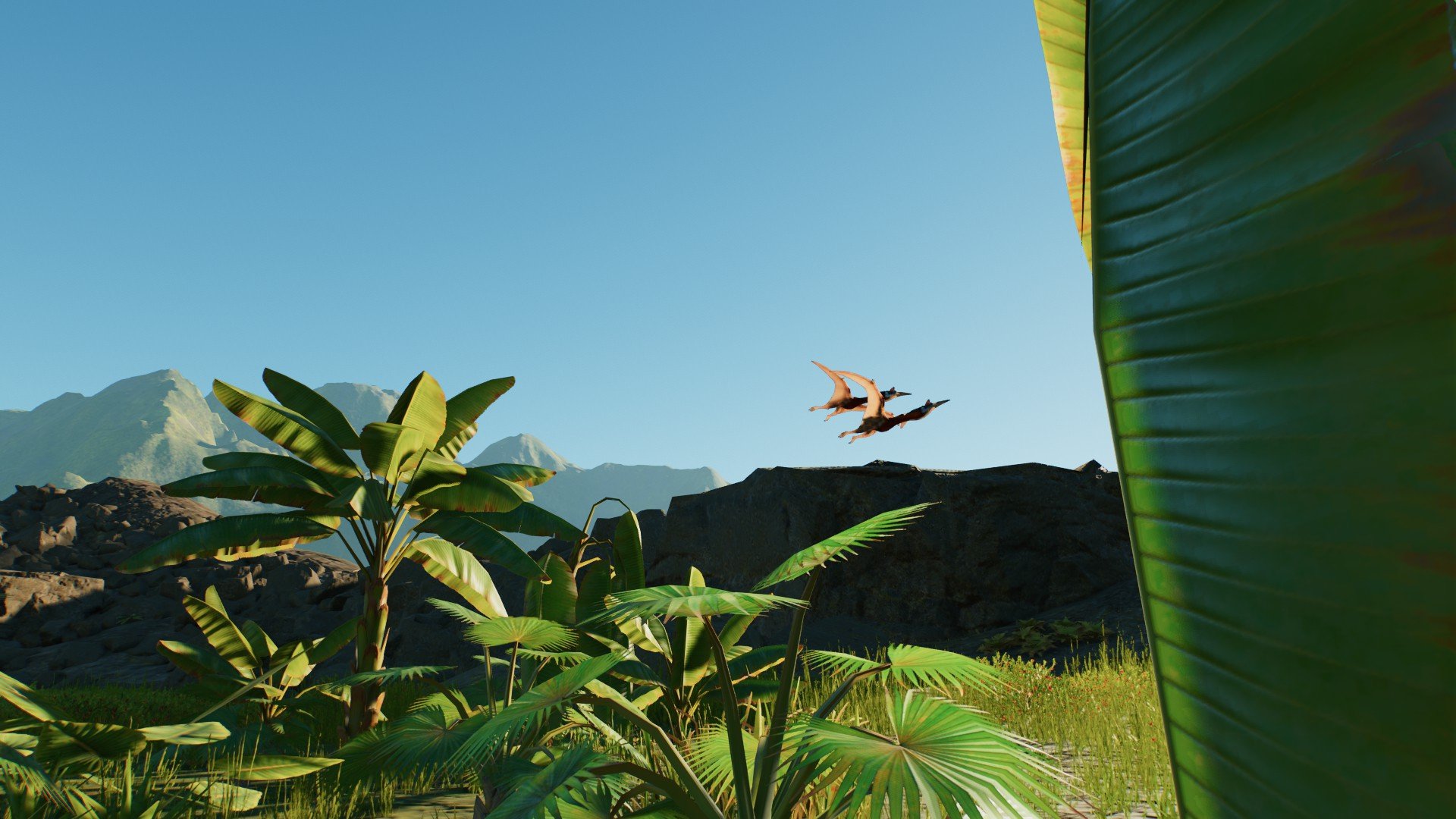 Primitve war 50% done