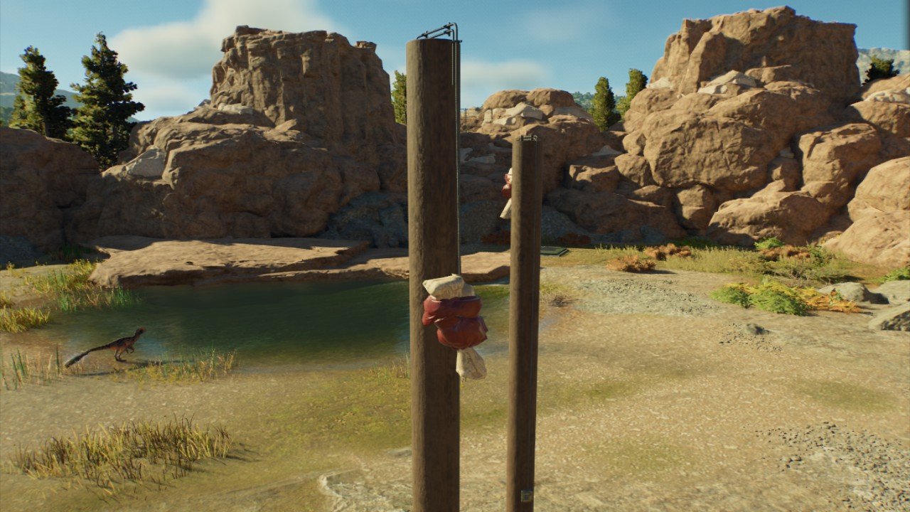 Carnivore Climbing Enrichment by ZSHplays