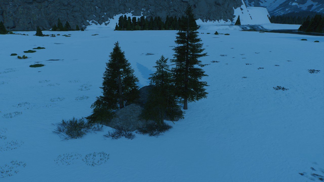 Taiga foilage and rocks 1