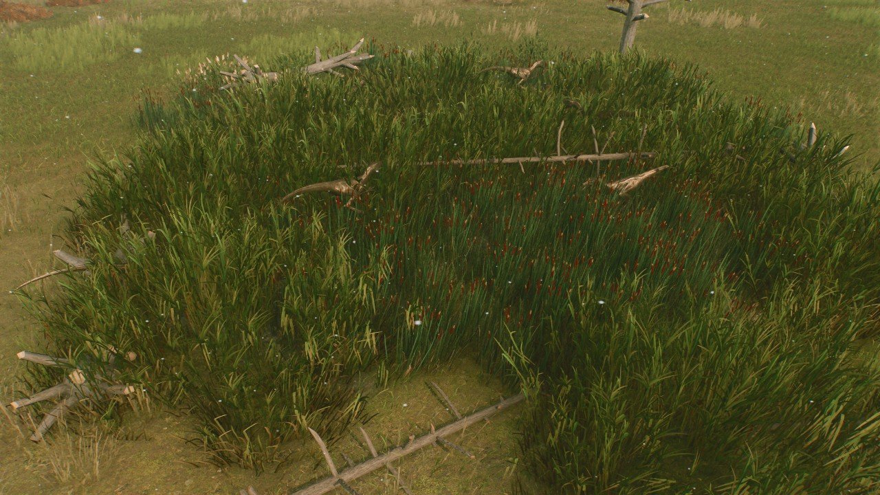 long grass(JP2)