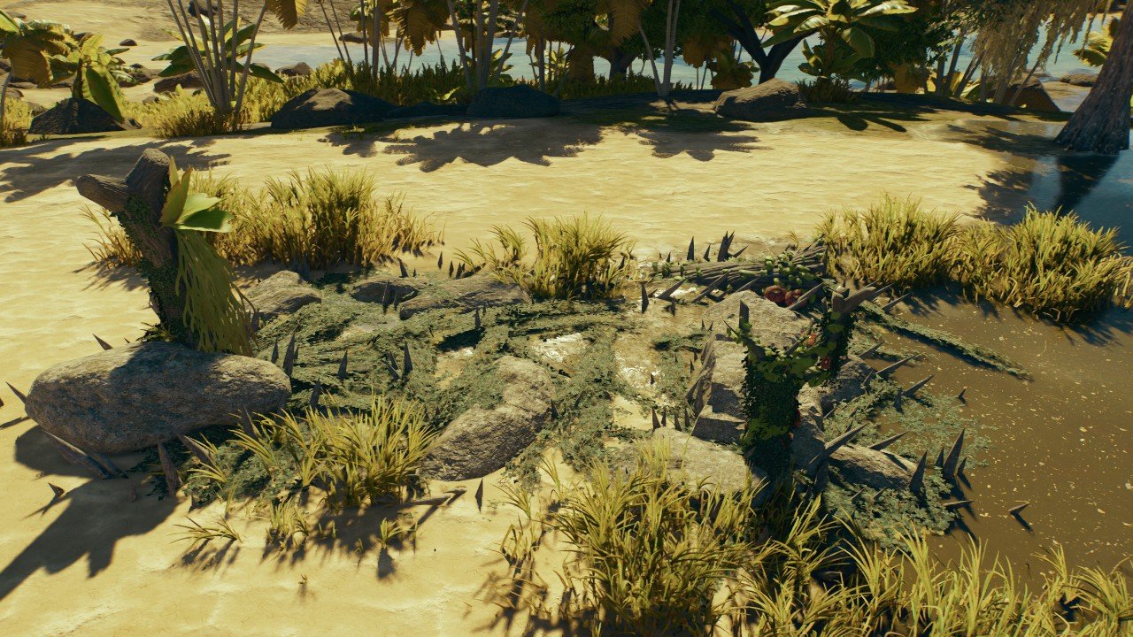 Nest