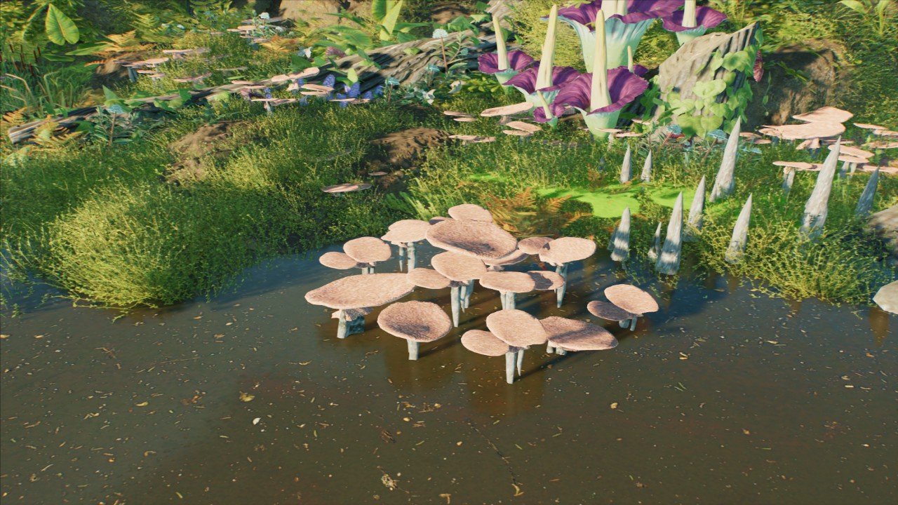 Clump of Toadstool Mushrooms