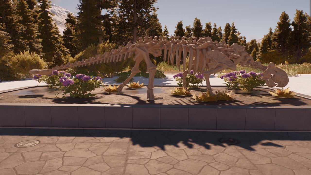 Ankilossaurus Display