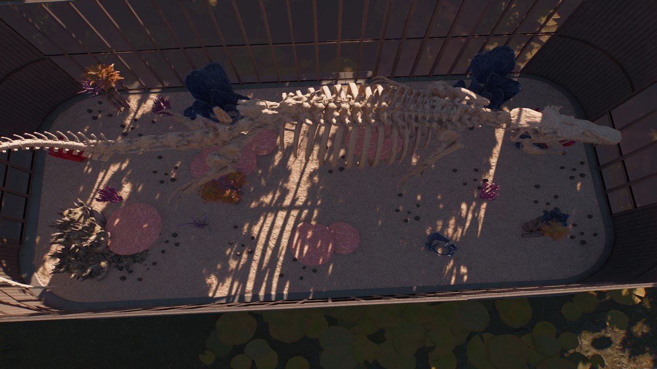 Mossasaurus Display