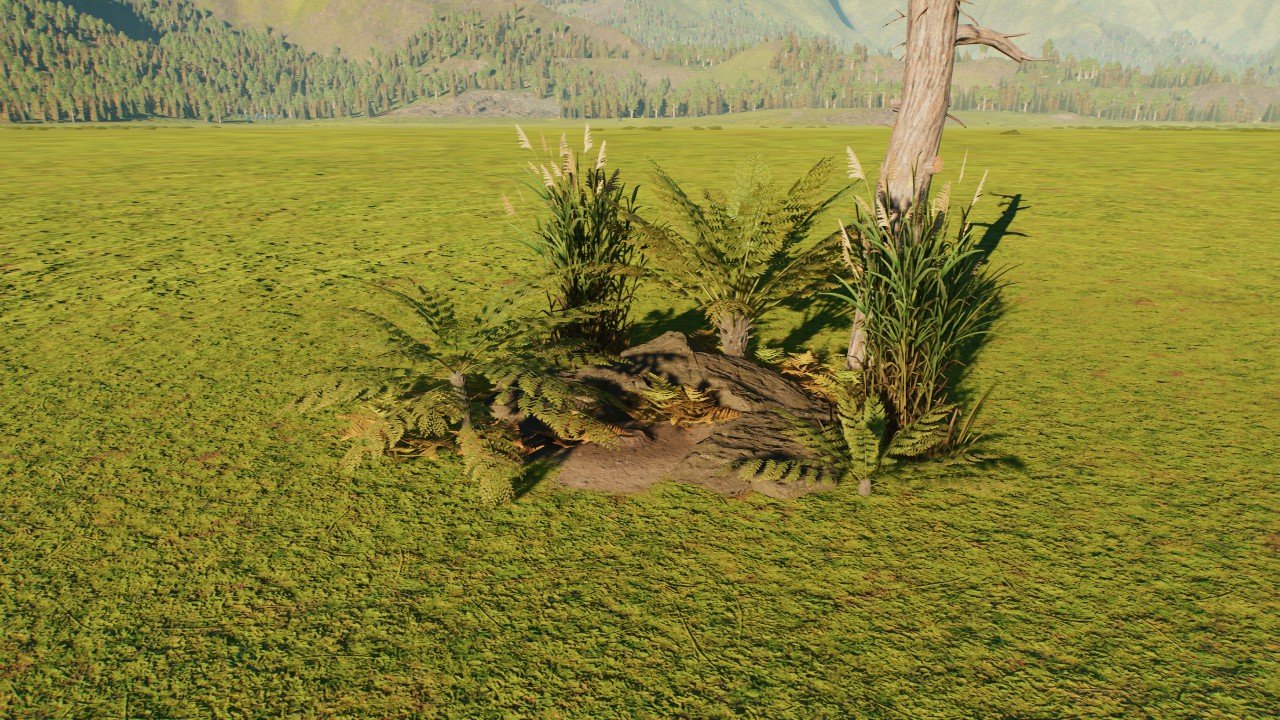 Small natural nest