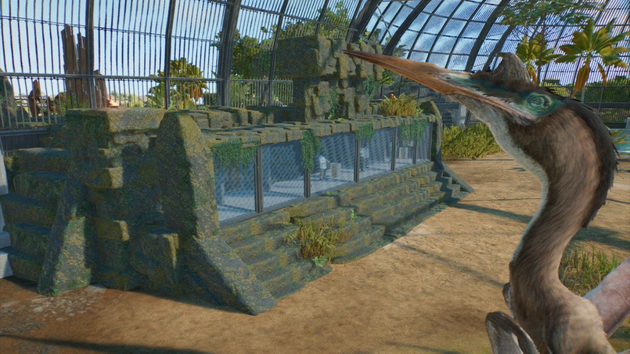 Aztec Aviary Galley