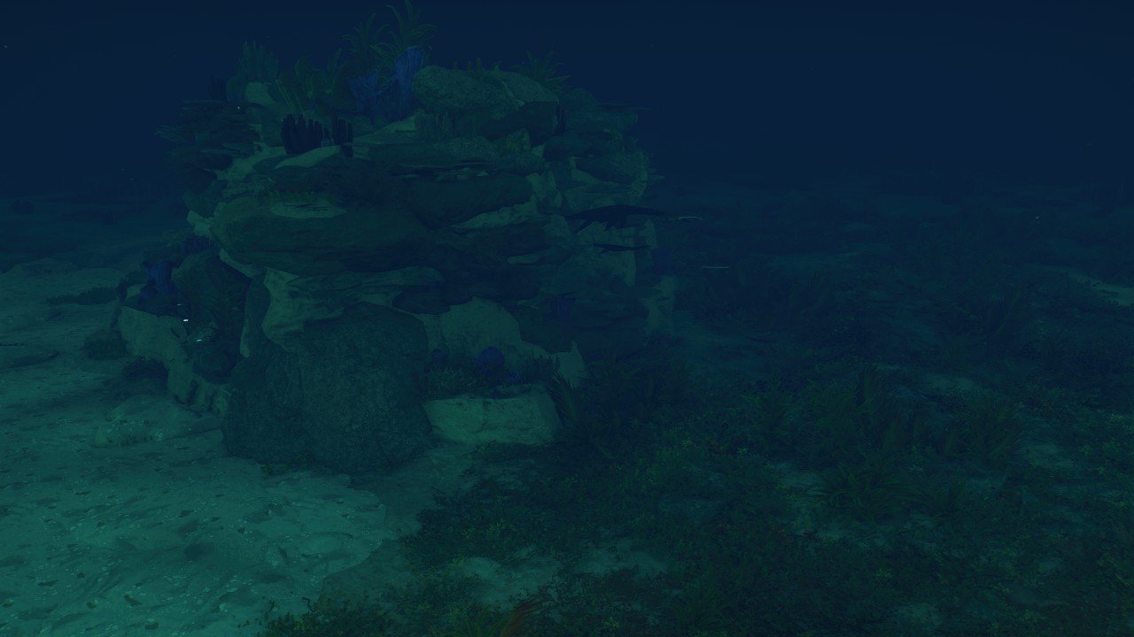 Rocky coral nest