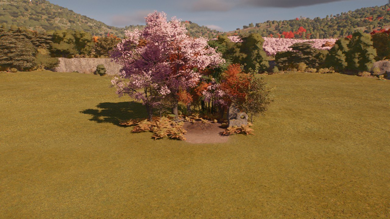 Japan Medium Land Nest