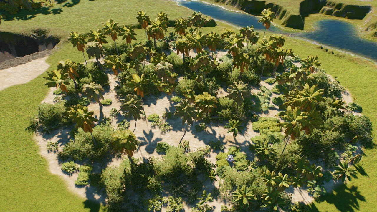 Palm tree foliage