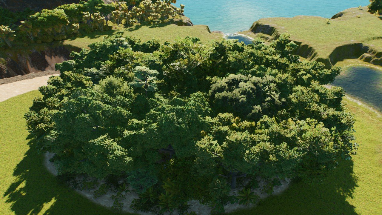 tree foliage