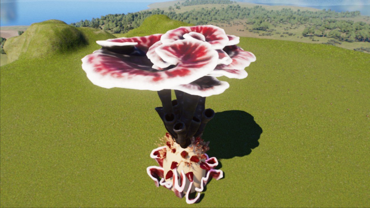 PADDO  TREE