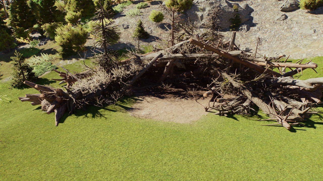 Dead Tree Nest