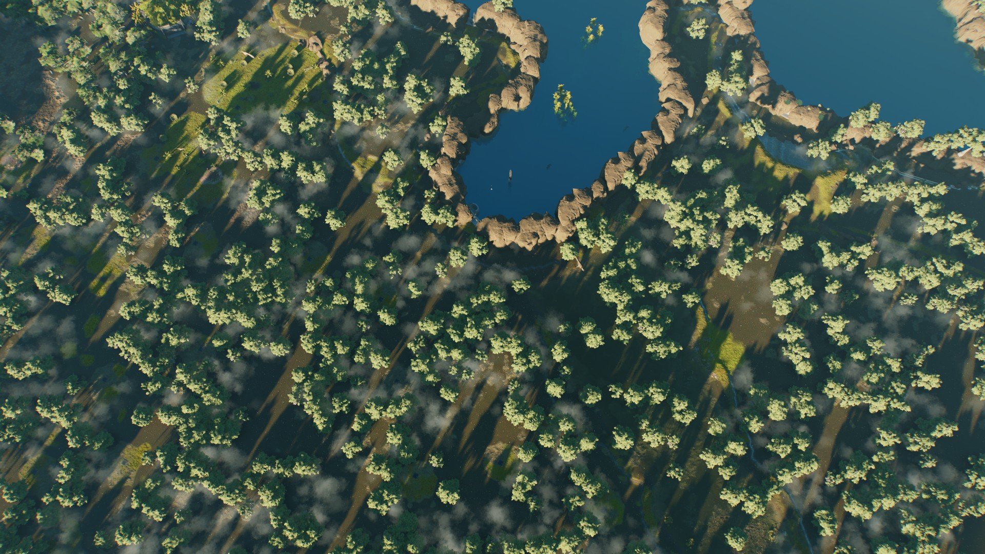 The wetlands