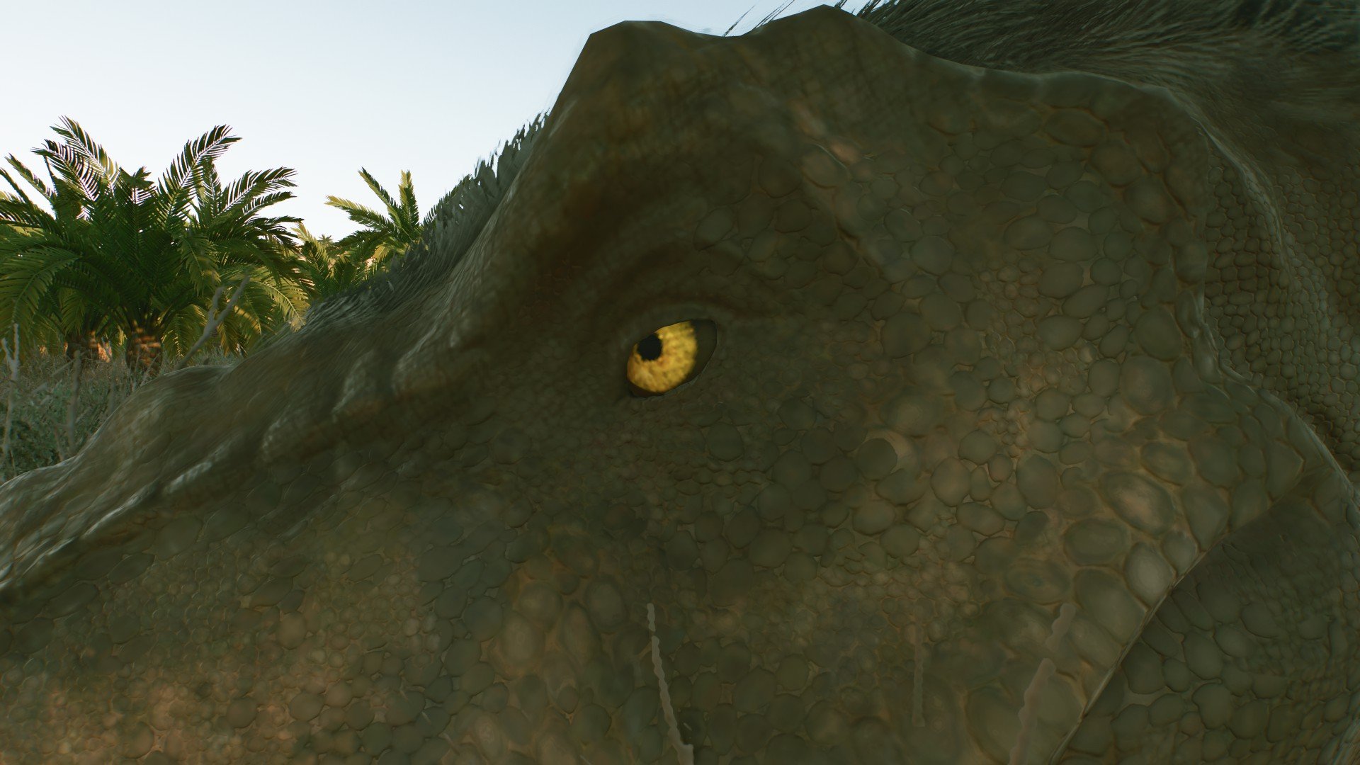 Creteaceous Simulator