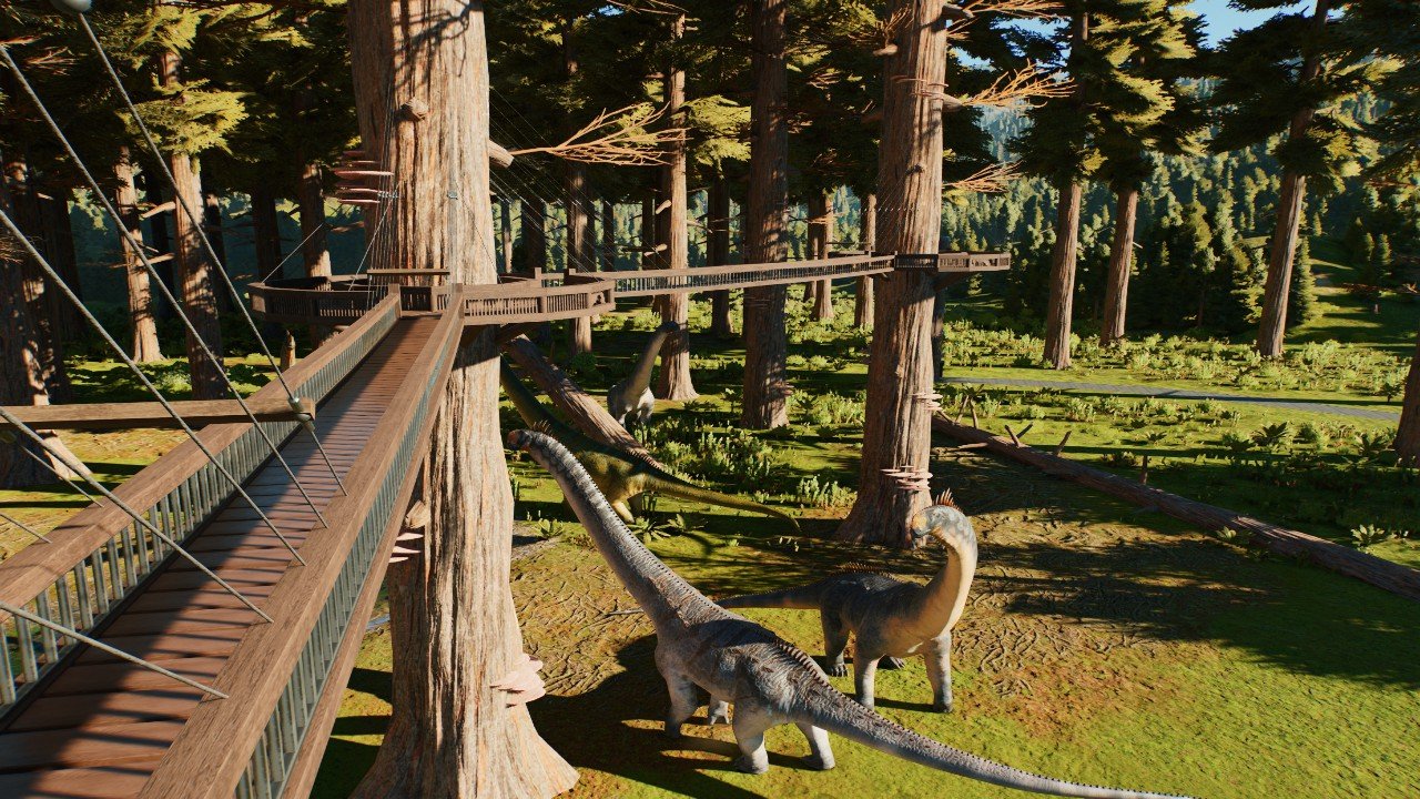 Elevated redwood walkway