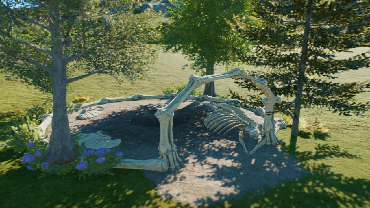 Skeleton nest