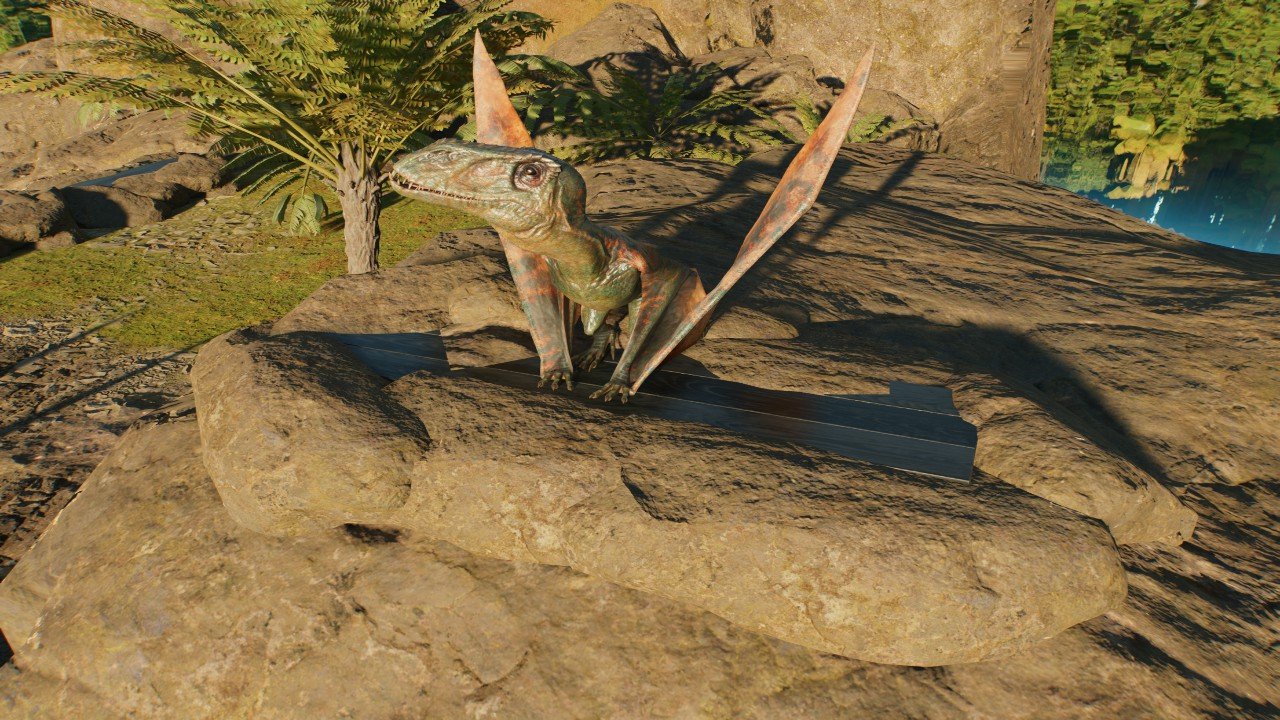 Rock Perch Small