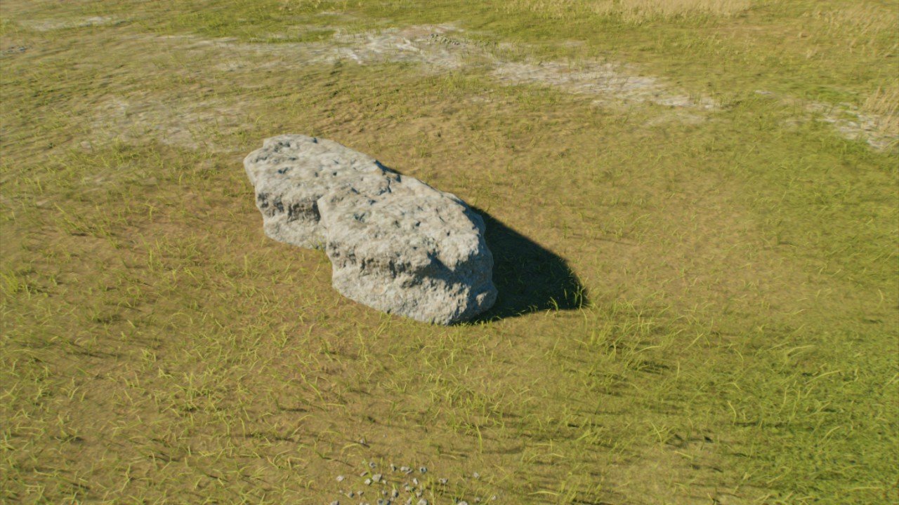 Large rock perch