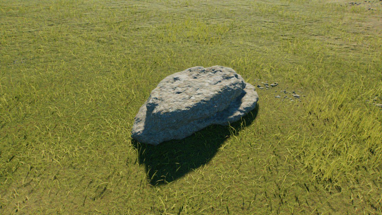 Small rock perch
