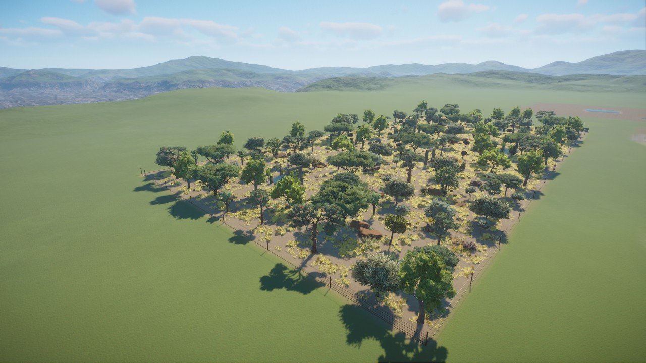 African Safari