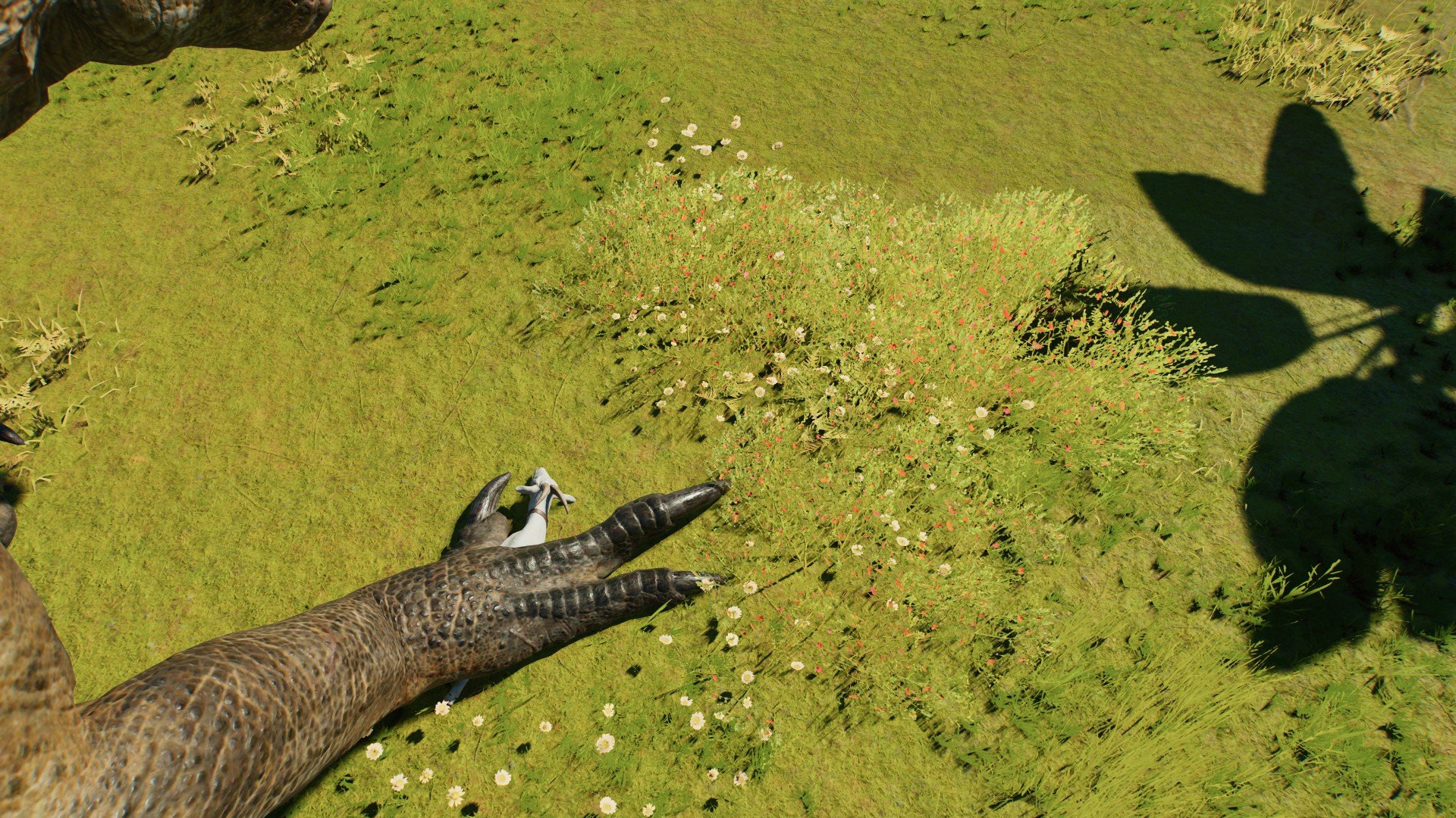 Jurassic world  isla Saint hubert museum